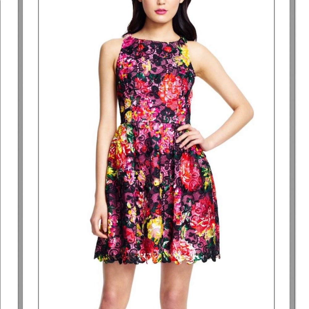 Adrianna Papell Dark Floral Lace Fit & Flare Dress